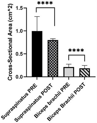 Ultrasonographic appearance of supraspinatus and biceps tendinopathy improves in dogs treated with low-intensity extracorporeal shock wave therapy: a retrospective study